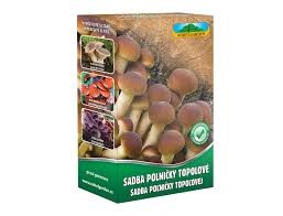 Agrocybe aeger/polnička topolová/250ml