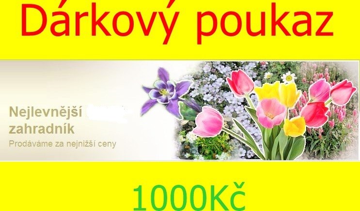 Dárkový poukaz 1000 Kč