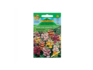 Hledík větší nízký velkokvětý, směs