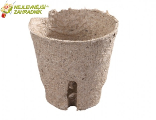 Květník rašelinový se zářezem d6cm